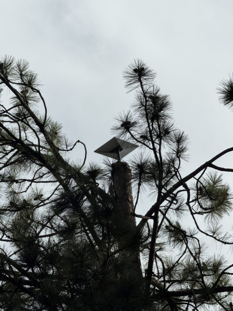 Starlink professional installer