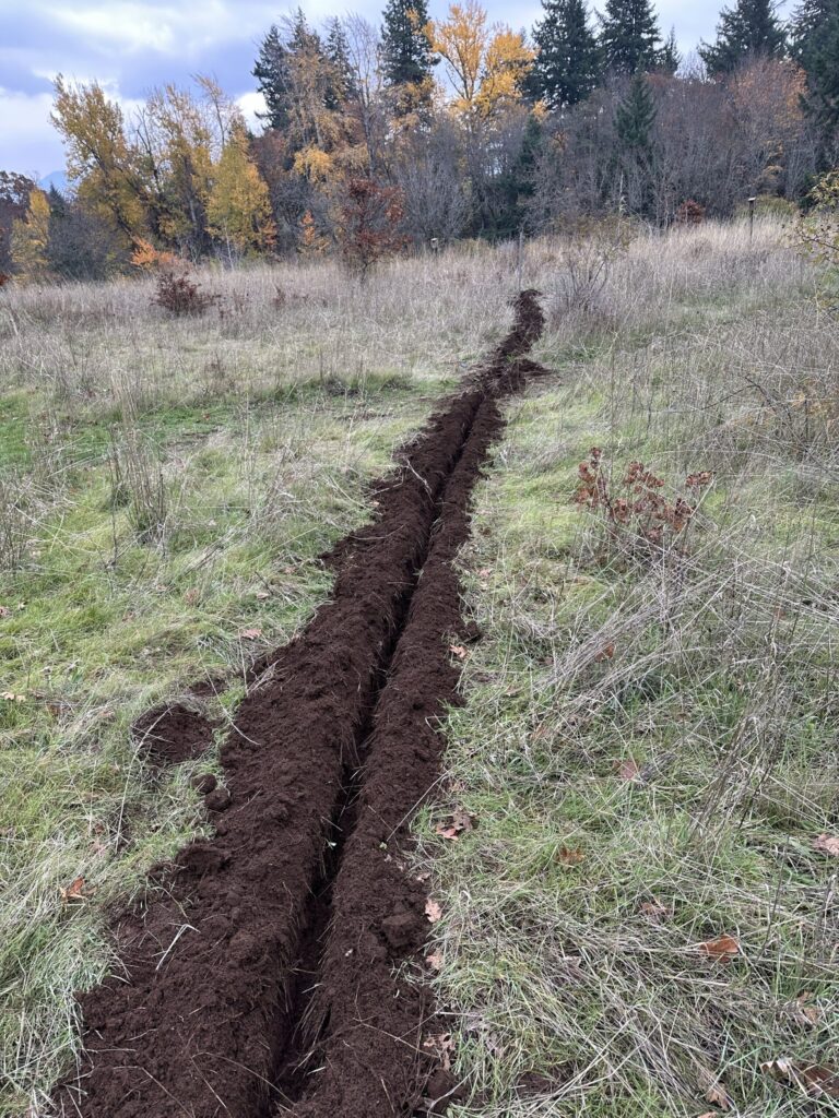 Starlink professional installer